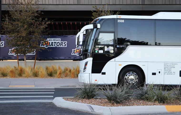 White charter bus viewed from the side facing a green tree.