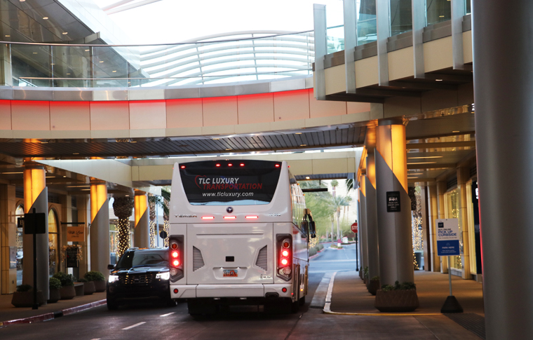 White charter bus driving with logo on back reading TLC Luxury Transportation driving underneath overpass